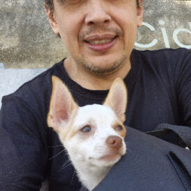 Imagem padrão